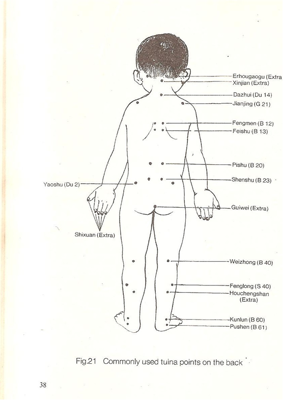 cuerpo puntos acupuntura parte trasera